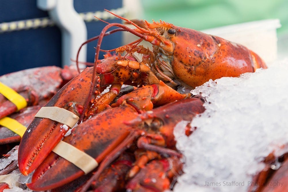 Featured photo from White Apron Catering & Special Events