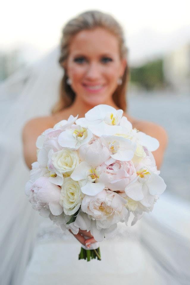 Featured photo from The Blonde Tulip