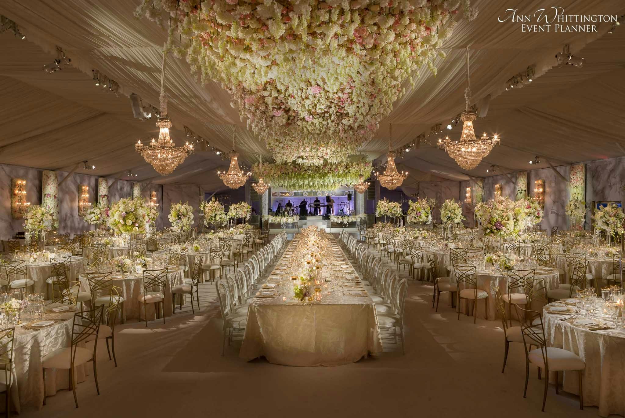 Cover photo of Ann Whittington Events