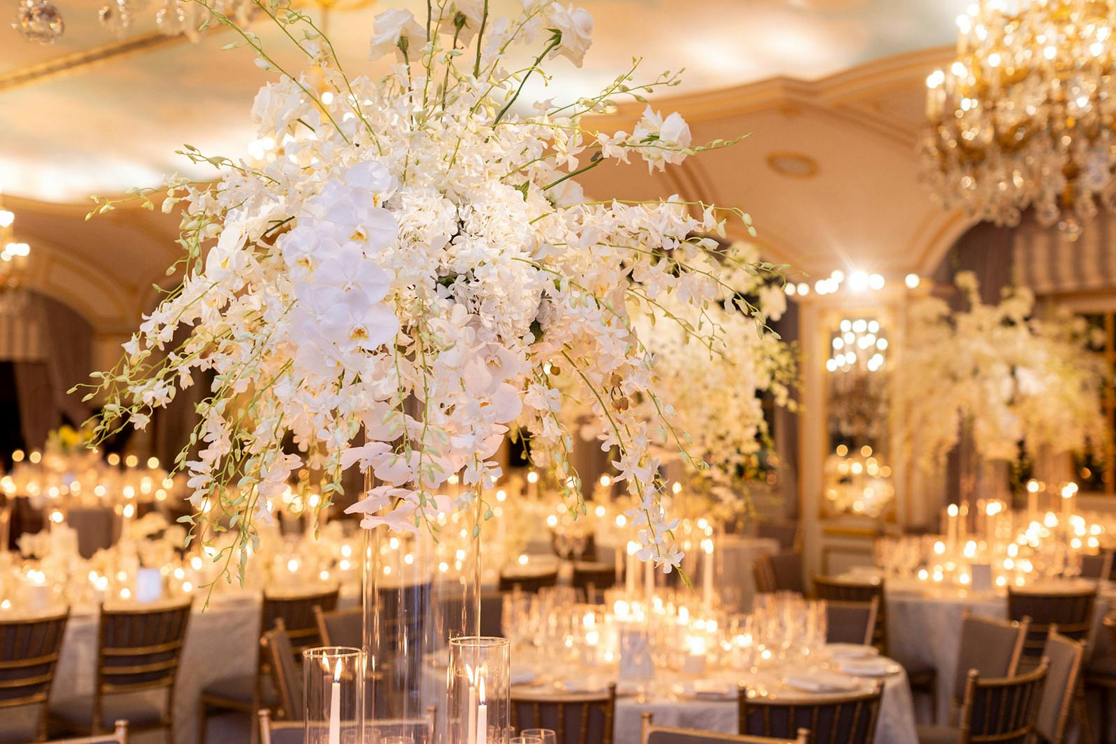 Featured image from Marina Luri Events
