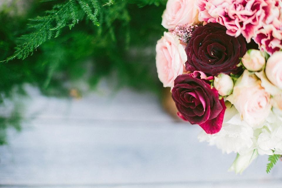 Featured photo from A Fresh Approach Floral