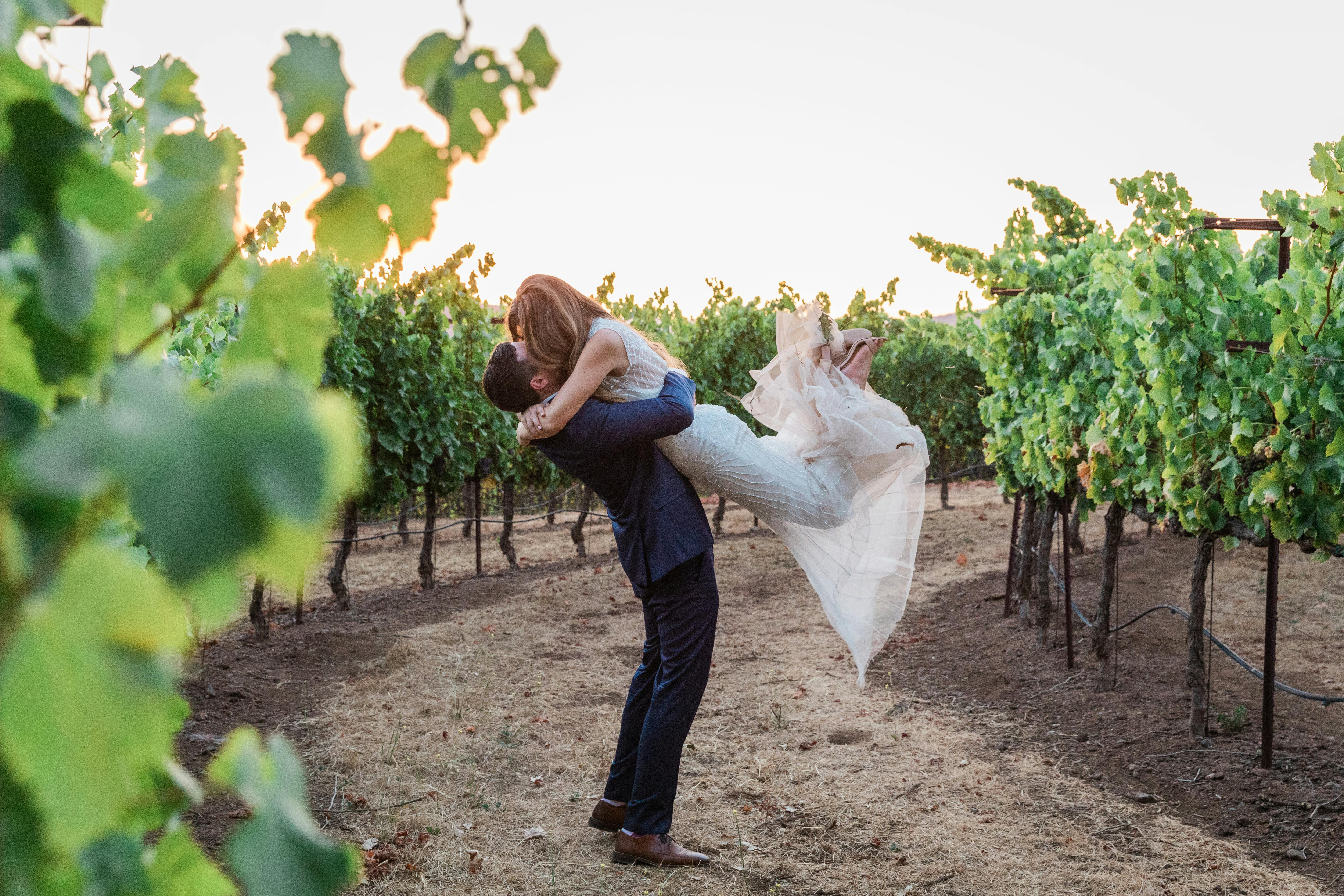 Featured photo from Kunde Family Winery