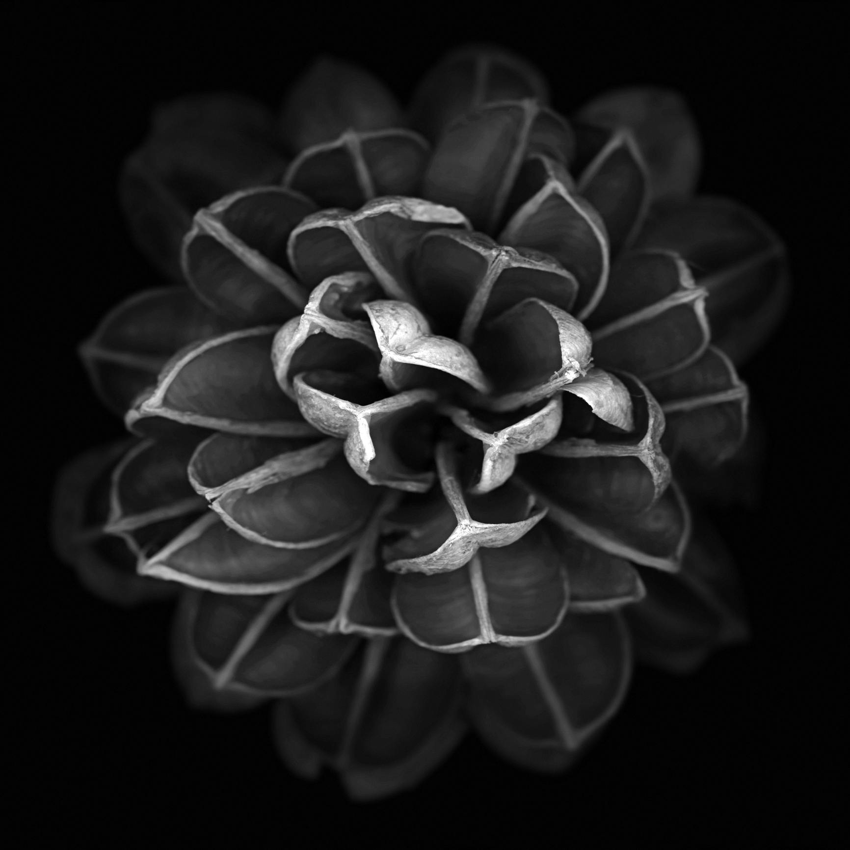 Featured photo from Arcadia Floral Co.