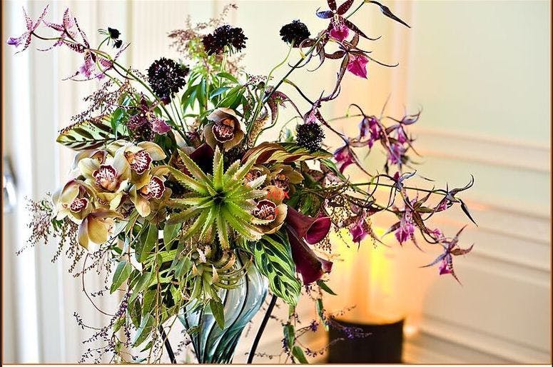 Featured photo from Plan Decor