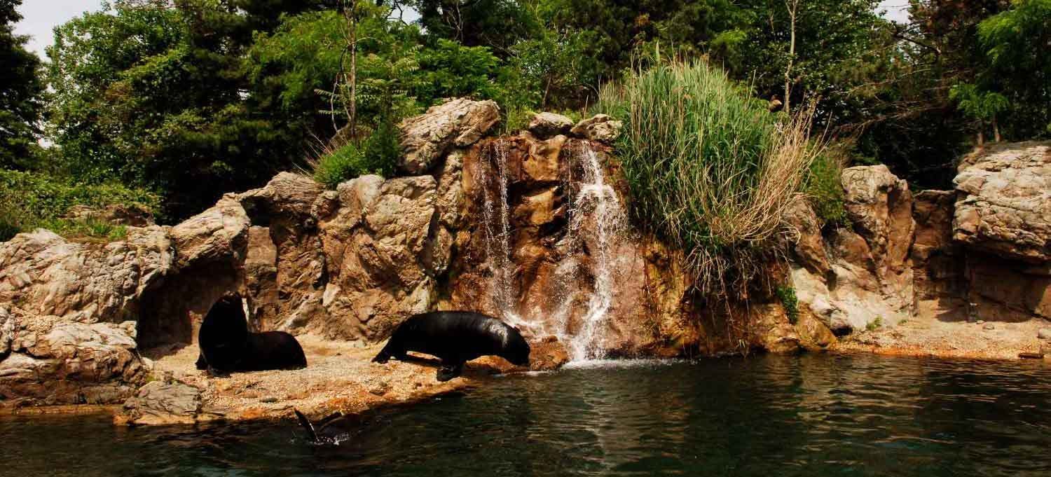 Queens Zoo Queens Venue All Photo Albums PartySlate