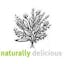 Logo for Naturally Delicious