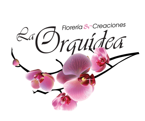 Floreria La Orquidea | Chicago Design & Floral | All Photo Albums |  PartySlate