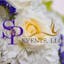 Logo for S&P Events