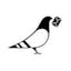 Logo for Design Services for Paperless Post
