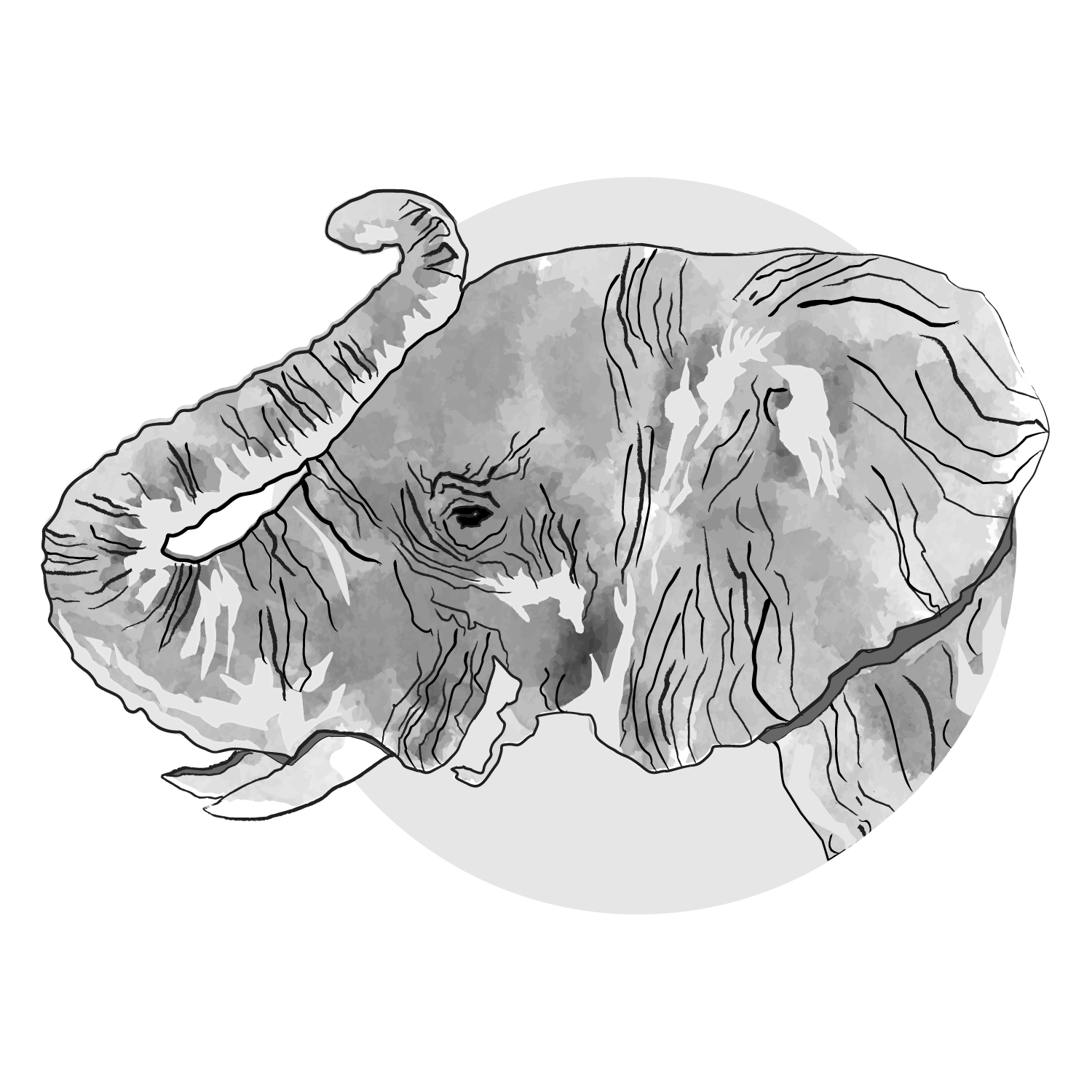 Logo for Arevalo & Co.