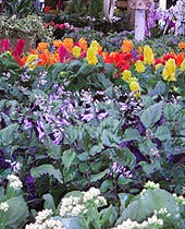 Logo for 5th Avenue Greenhouse