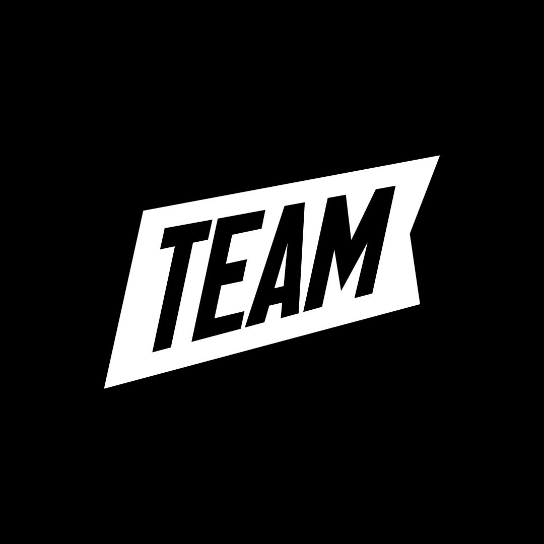 Logo for TEAM