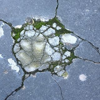 Logo for Sharpstick Studio