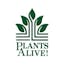 Logo for Plants Alive!