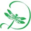 Logo for Dragonfly Studio
