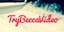 Logo for TryBeccaMontage