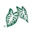 Logo for McShan Florist