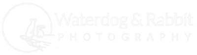 Logo for Waterdog & Rabbit Photography