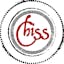 Logo for Chicago Street Strings
