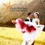 Logo for Beautiful Day Photography