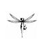 Logo for Damselfly Designs