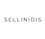 Logo for Andreas Sellinidis