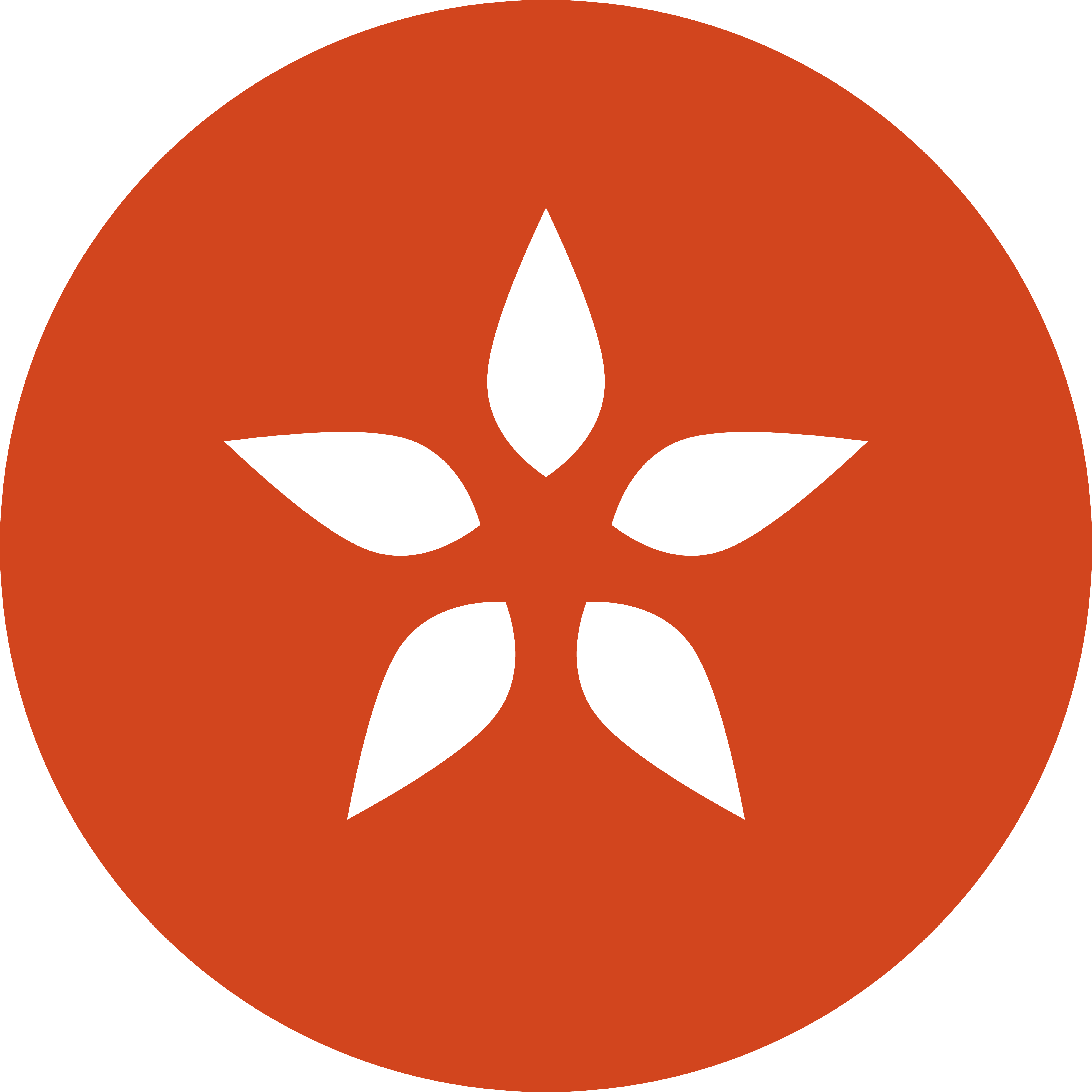 Logo for City Orchard