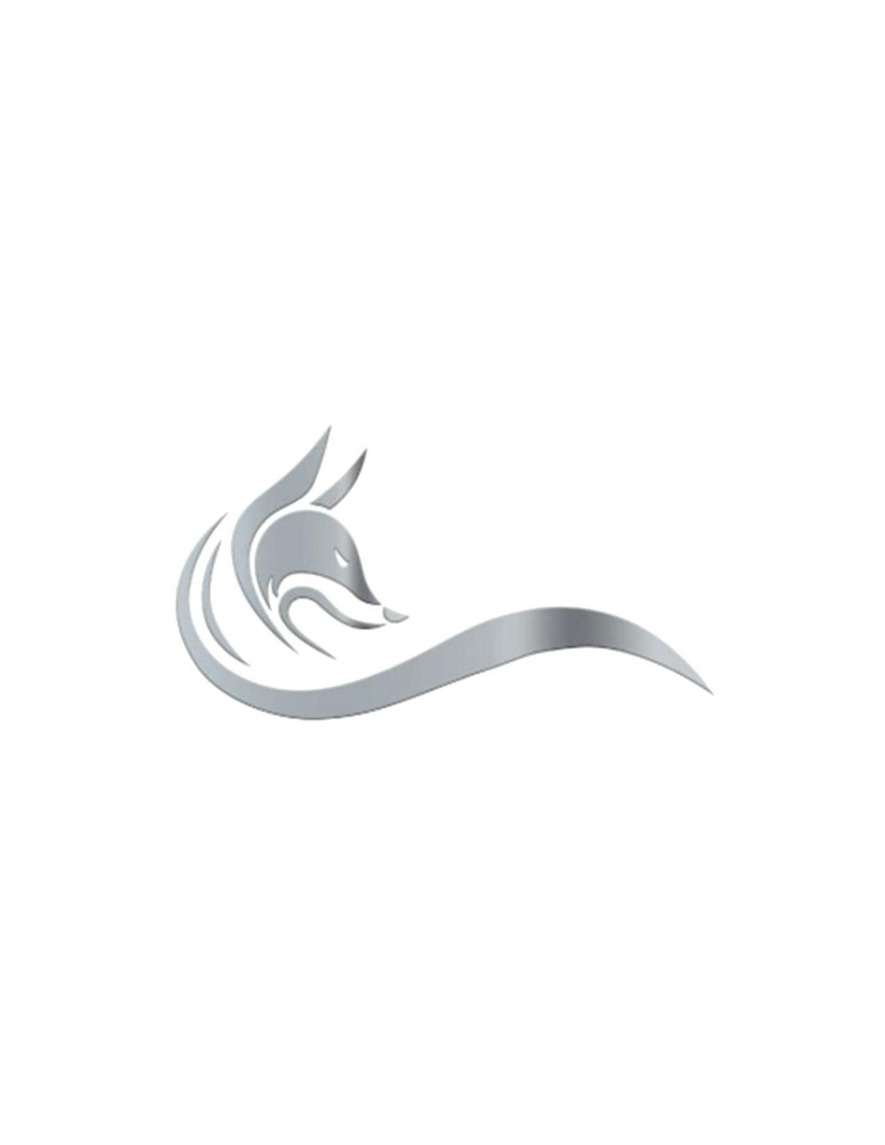 Logo for Silver Fox Transportation