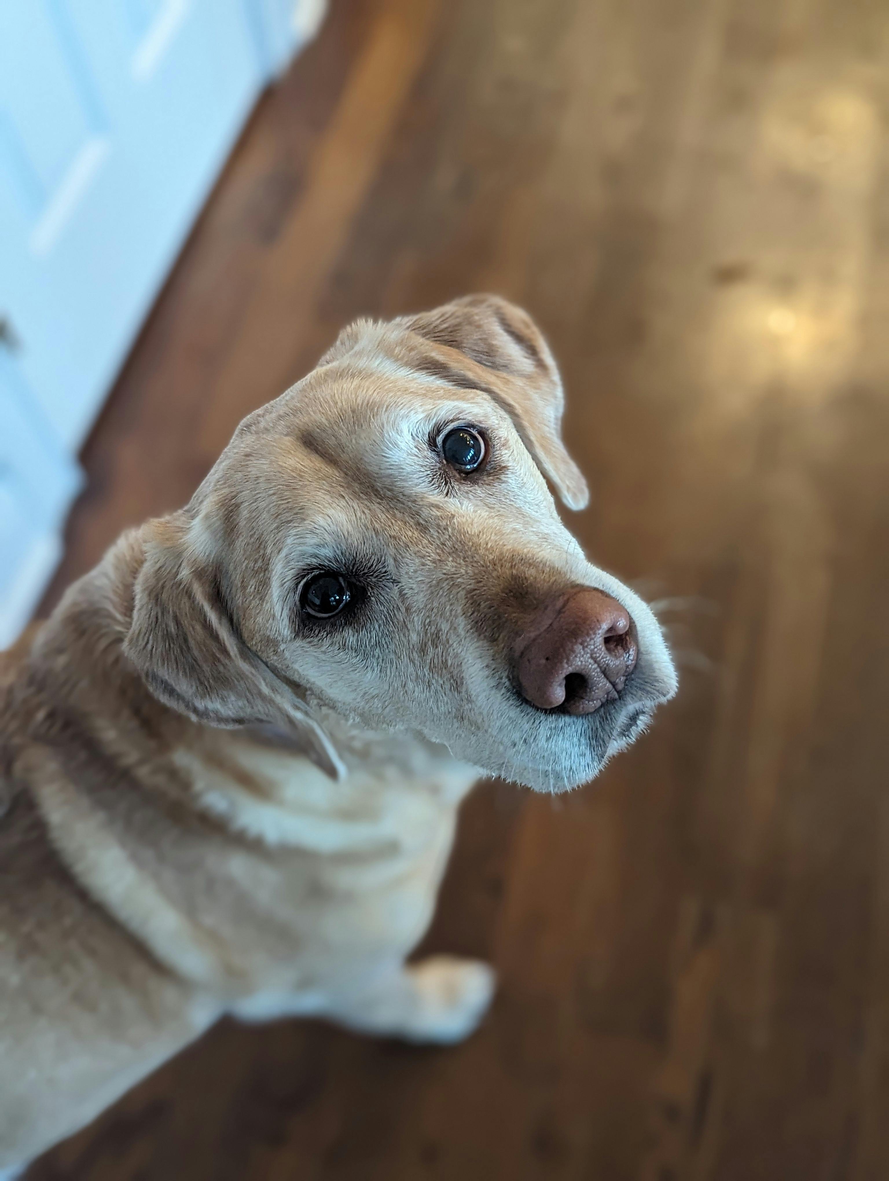 Logo for Kaitlyn's Pro Prod Profile