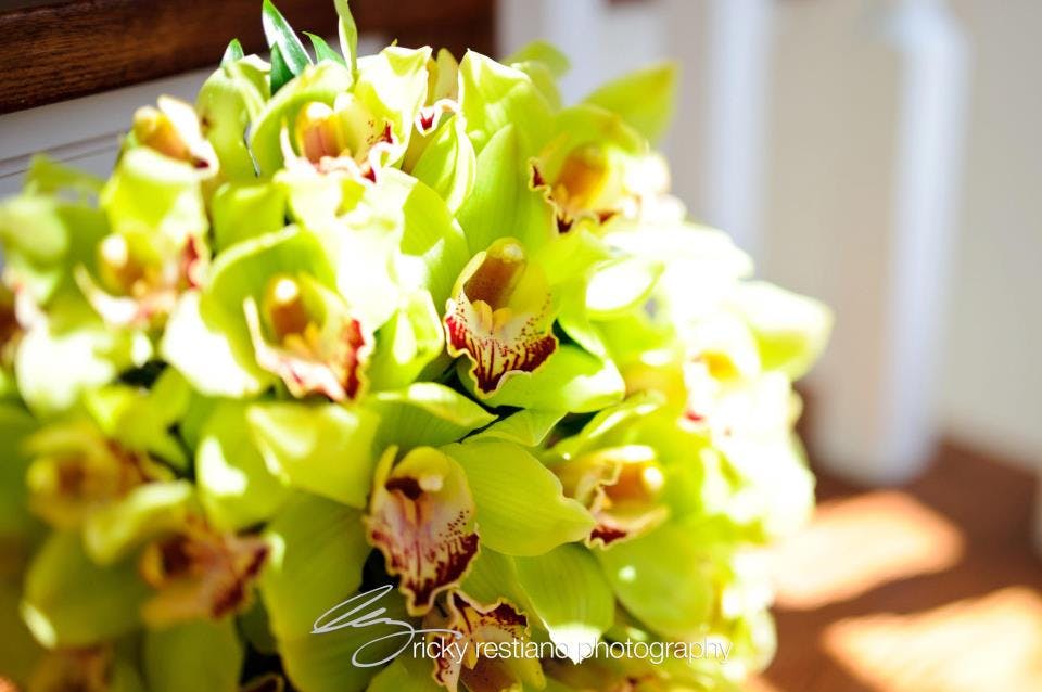 Logo for Westchester Floral Decorators