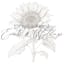 Logo for Phyllis Kent Events & Weddings