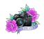 Logo for The Pic Chick
