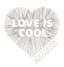 Logo for Levi Stolove Photography