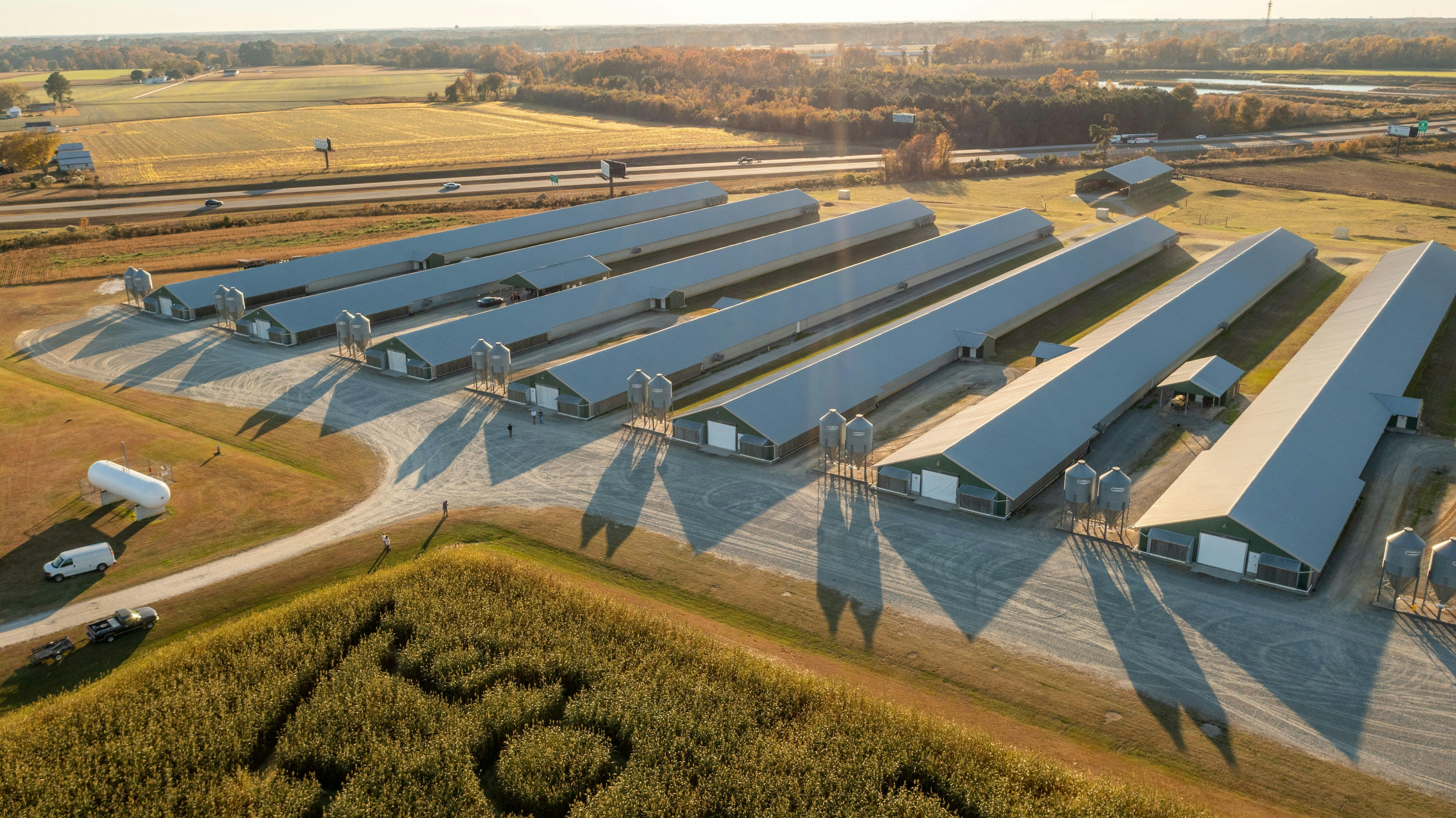 Logo for My Pro Photographer