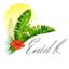 Logo for Enid b.