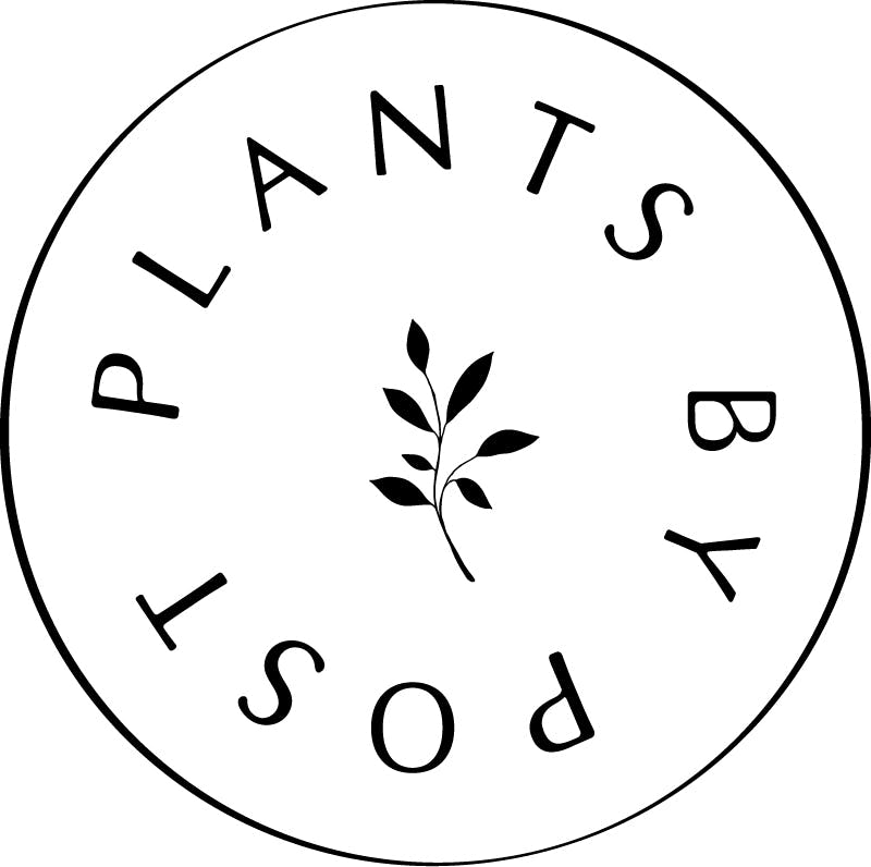 Logo for Plants by Post