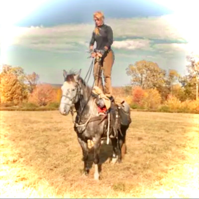 Logo for Horse & Hearth