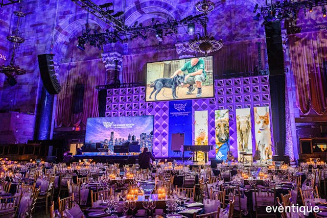 Featured photo from Humane Society To The Rescue! NY Gala 2019