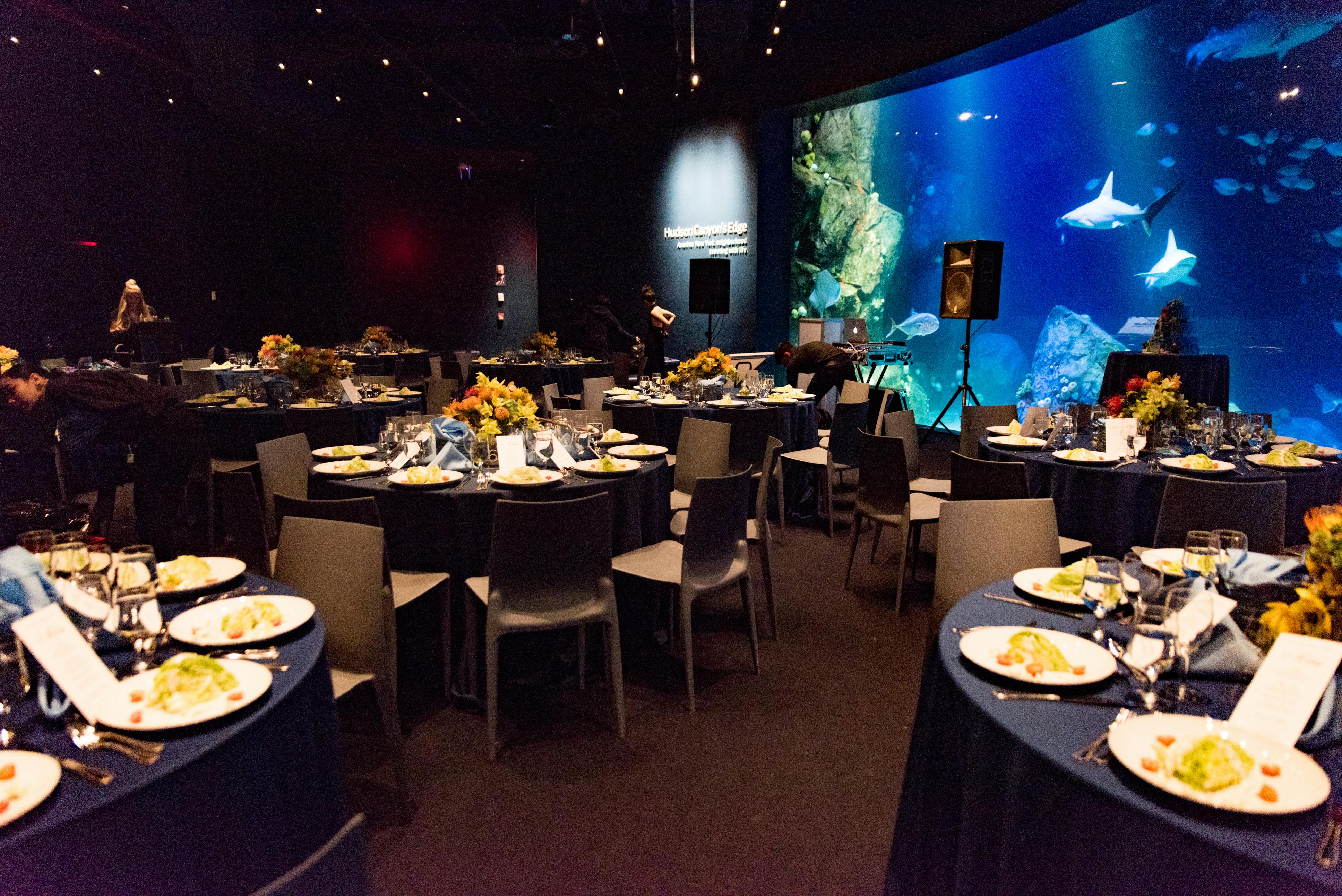 New York Aquarium Venue All Events 115 photos on PartySlate