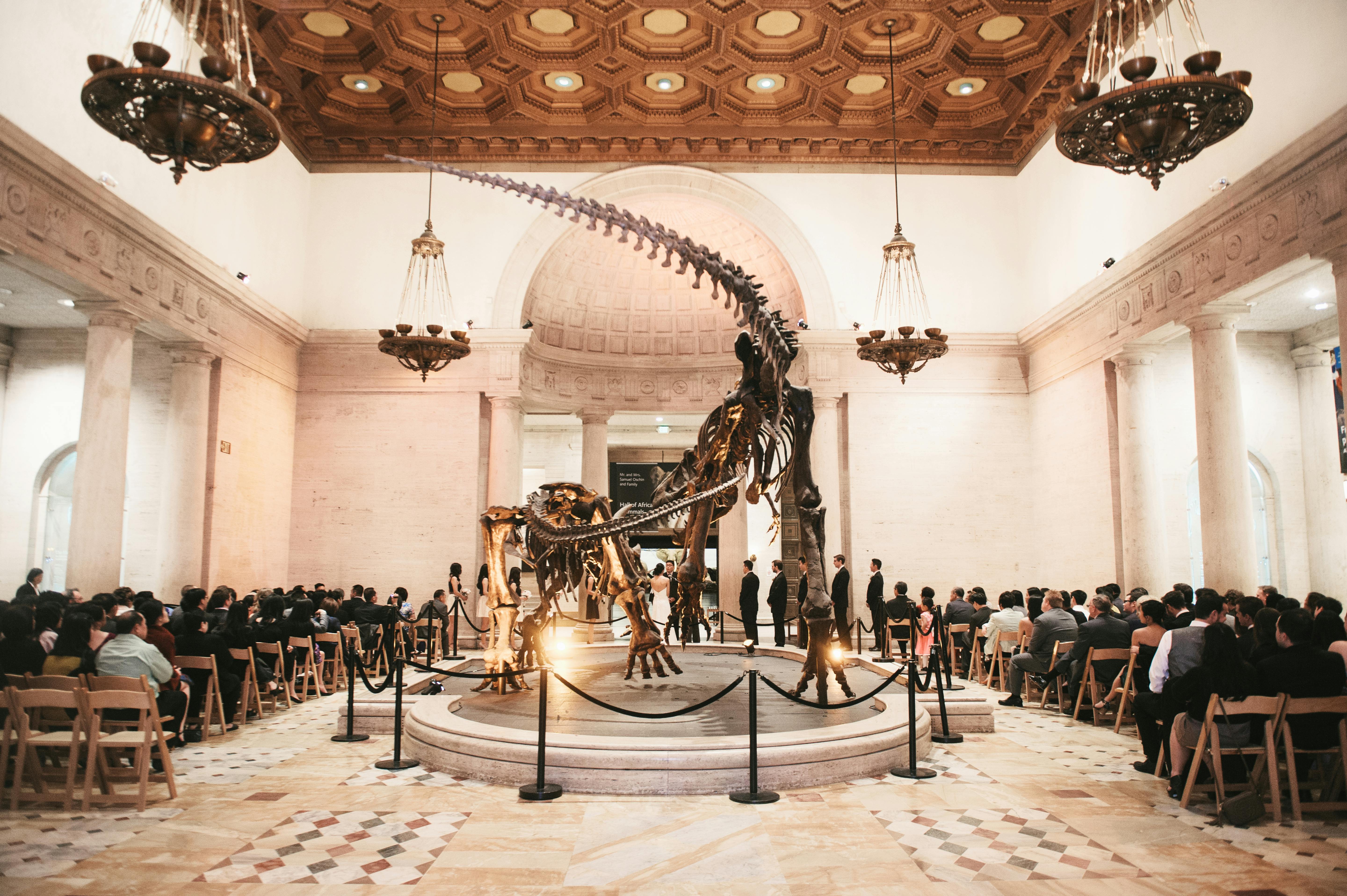 Classic Wedding Under The Dueling Dinos | Natural History Museum Of LA ...