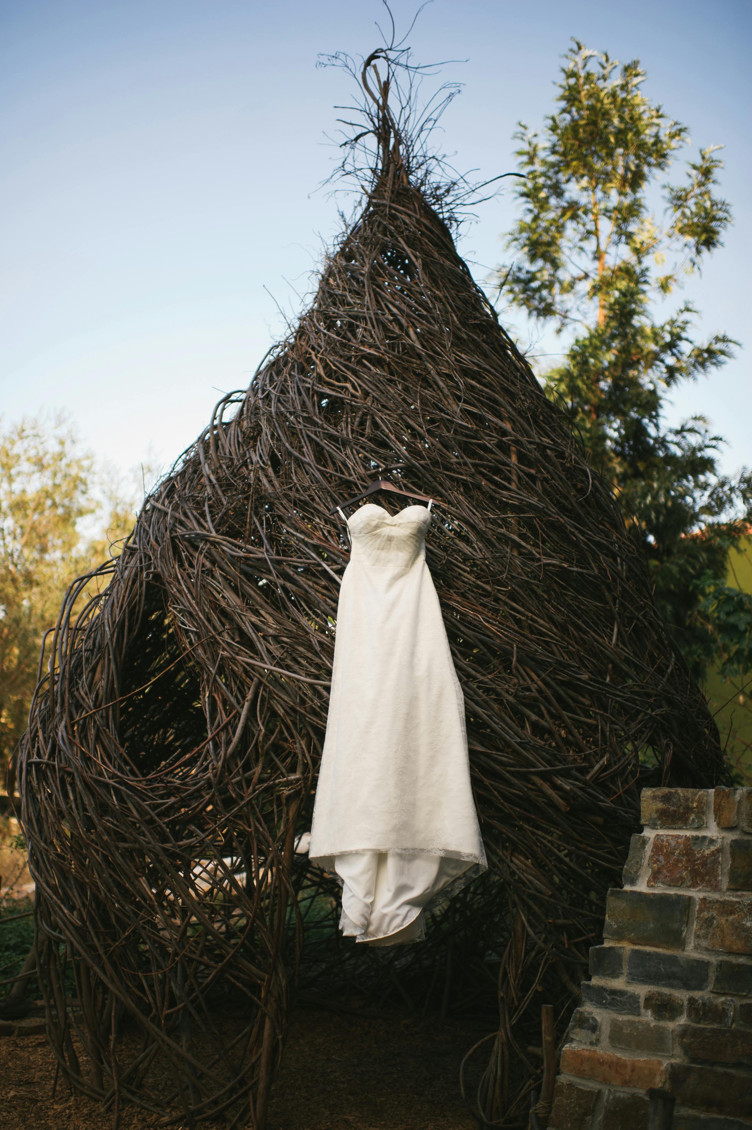 Classic Wedding Under The Dueling Dinos | Natural History Museum Of LA ...