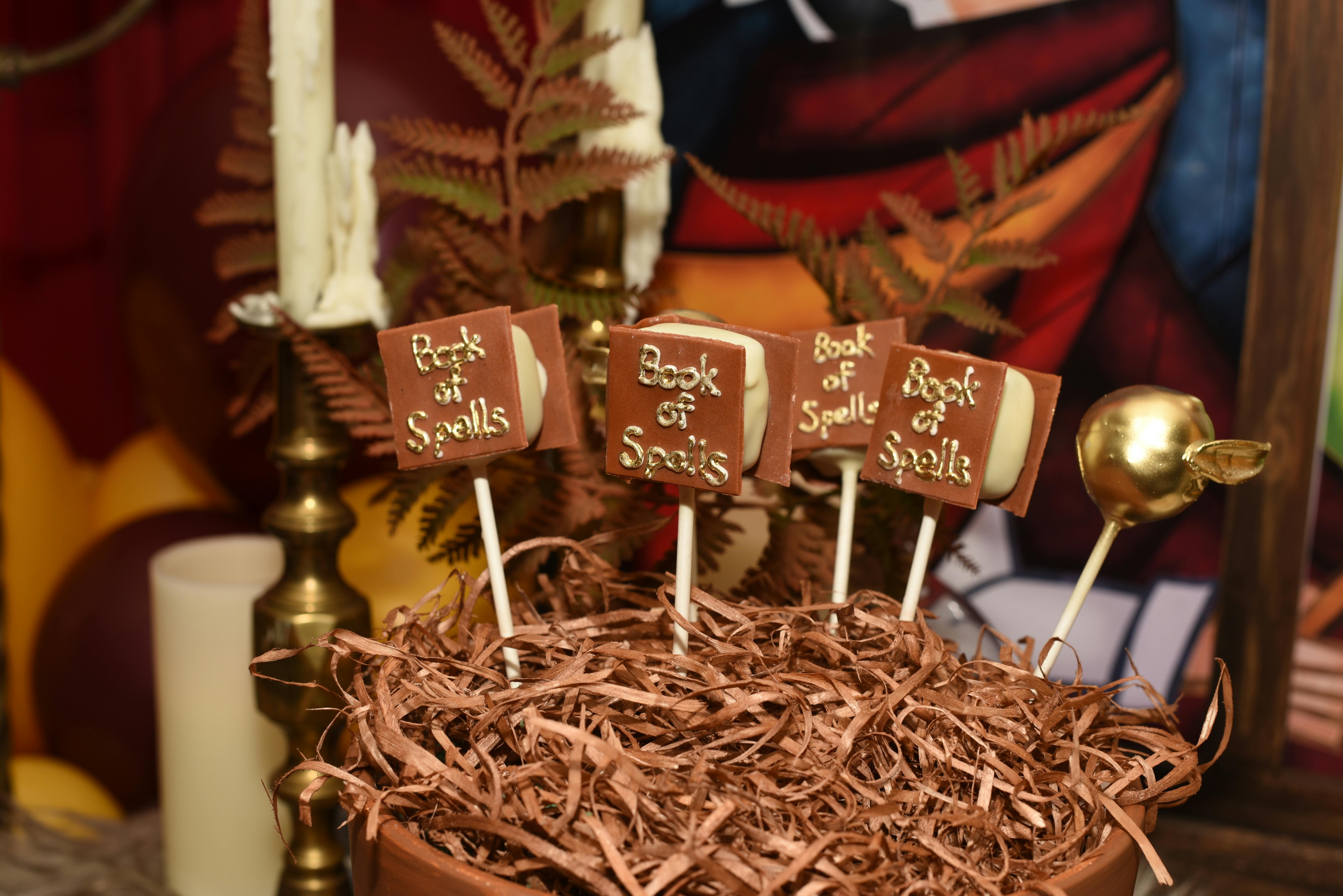 Harry Potter 6th Birthday Party at Pinnacle Condo Building in
