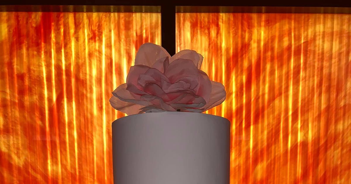 Photo 7daca00e 28ac 429d 9690 5fcb44100c29 jpg ixlib rails 2 1 4 w 1200 photo-7daca00e-28ac-429d-9690-5fcb44100c29-jpg-ixlib-rails-2-1-4-w-1200