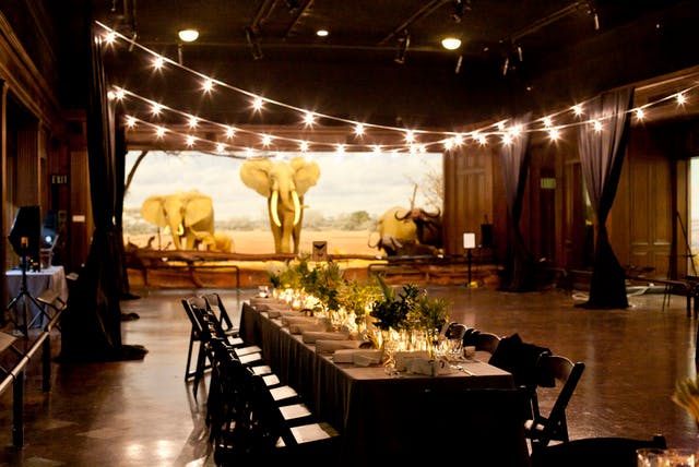 Natural History Museum Of La Los Angeles Venue All Events 560 Photos On Partyslate