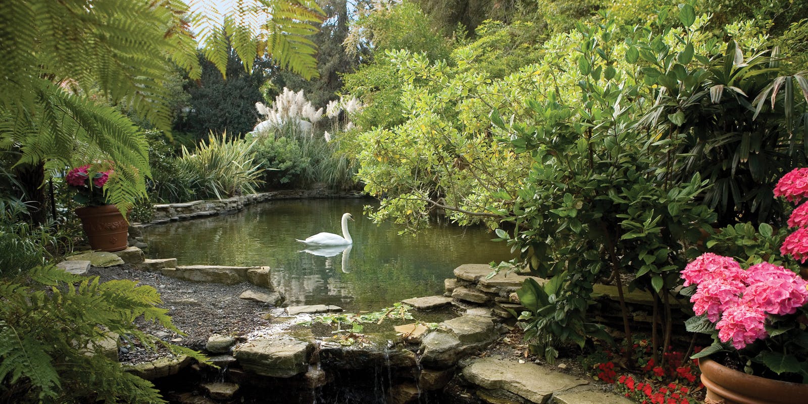 Swan Lake, Outdoor event space at Hotel Bel-Air