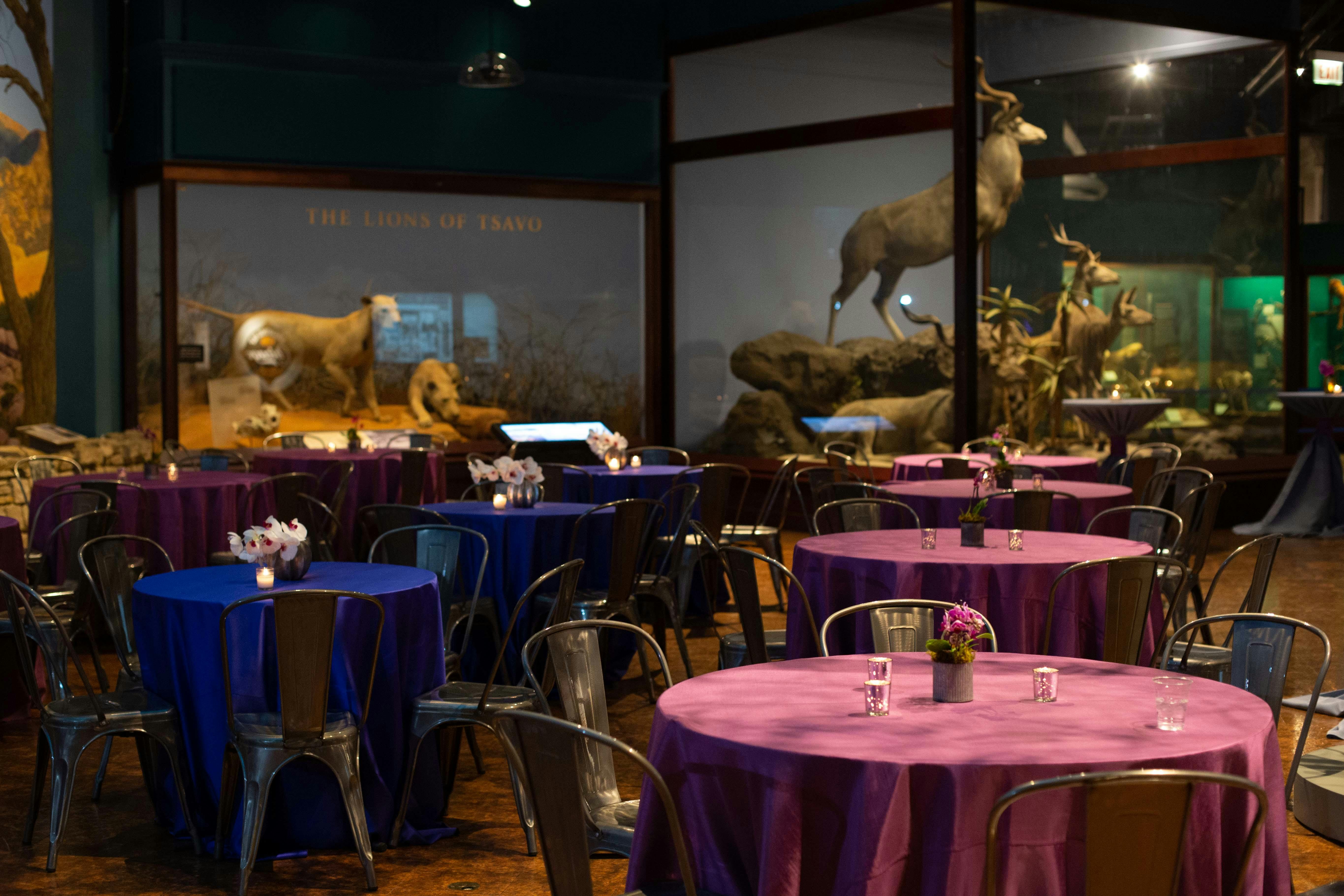 photo-57e255c3-d472-4b73-85d8-fbd2977de12c-jpg-ixlib-rails-2-1-4-w-1200