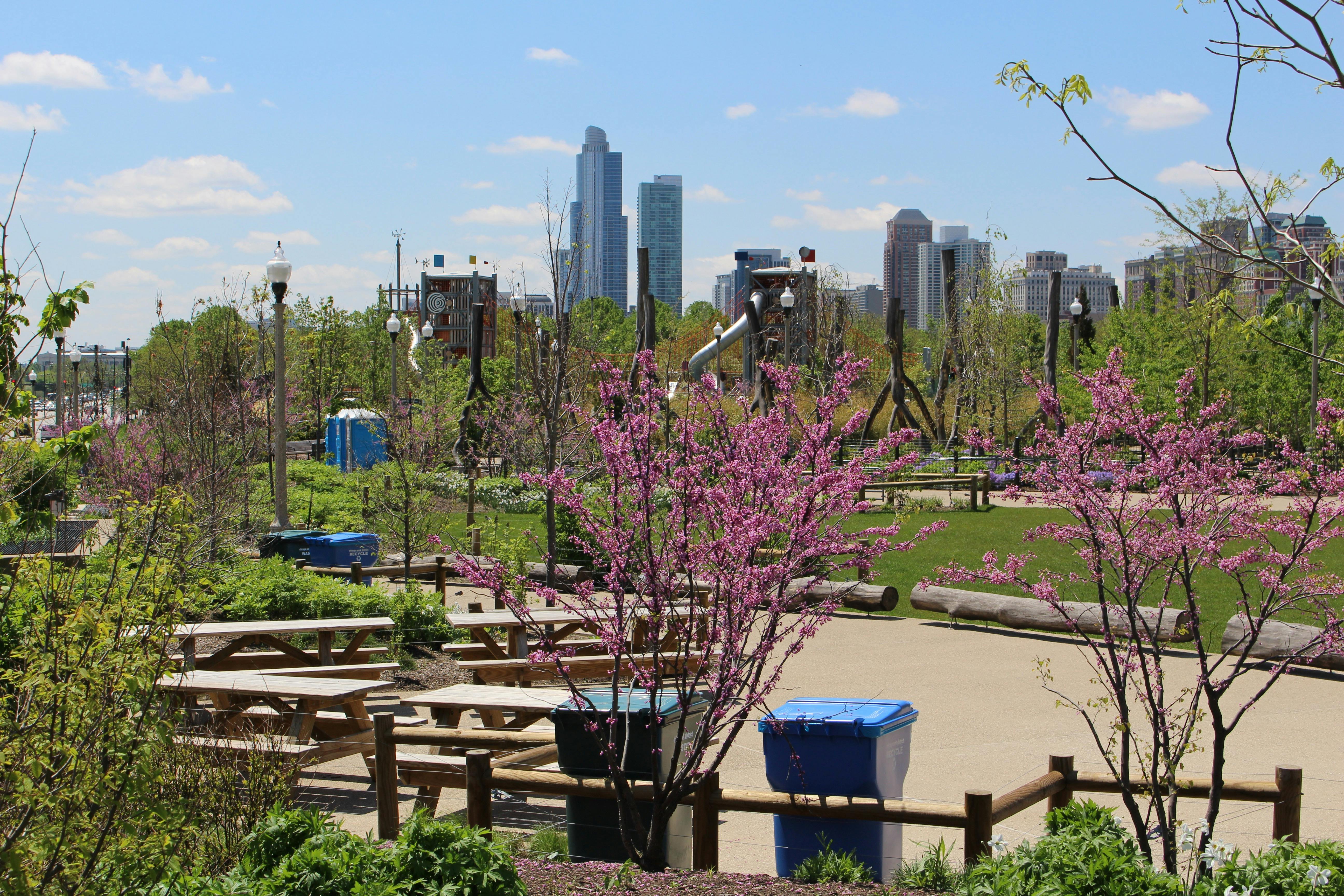 Picnic Groves Maggie Daley Park PartySlate