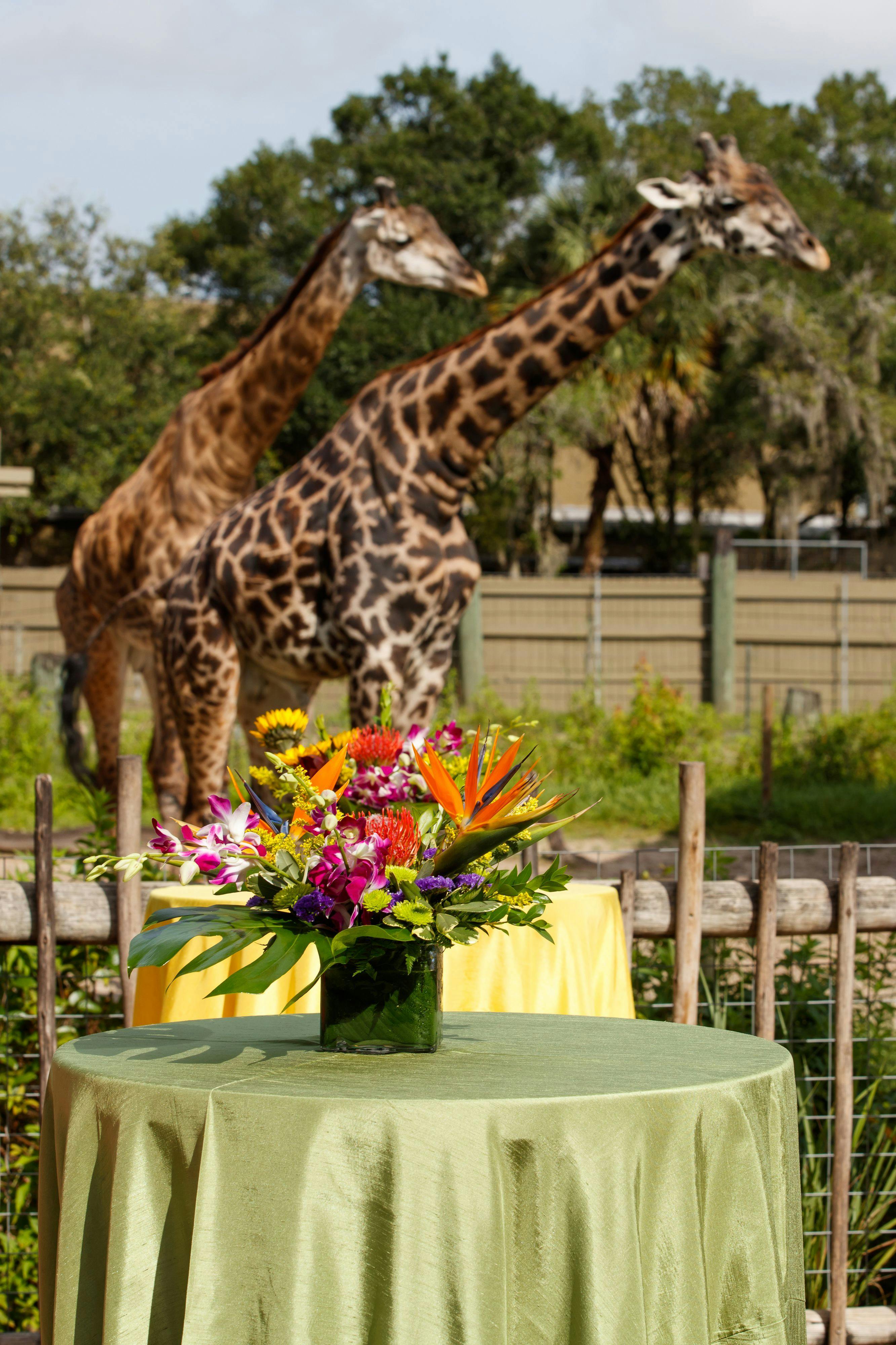 Reilly's Reserve, Venue with Activities event space at ZooTampa at Lowry Park