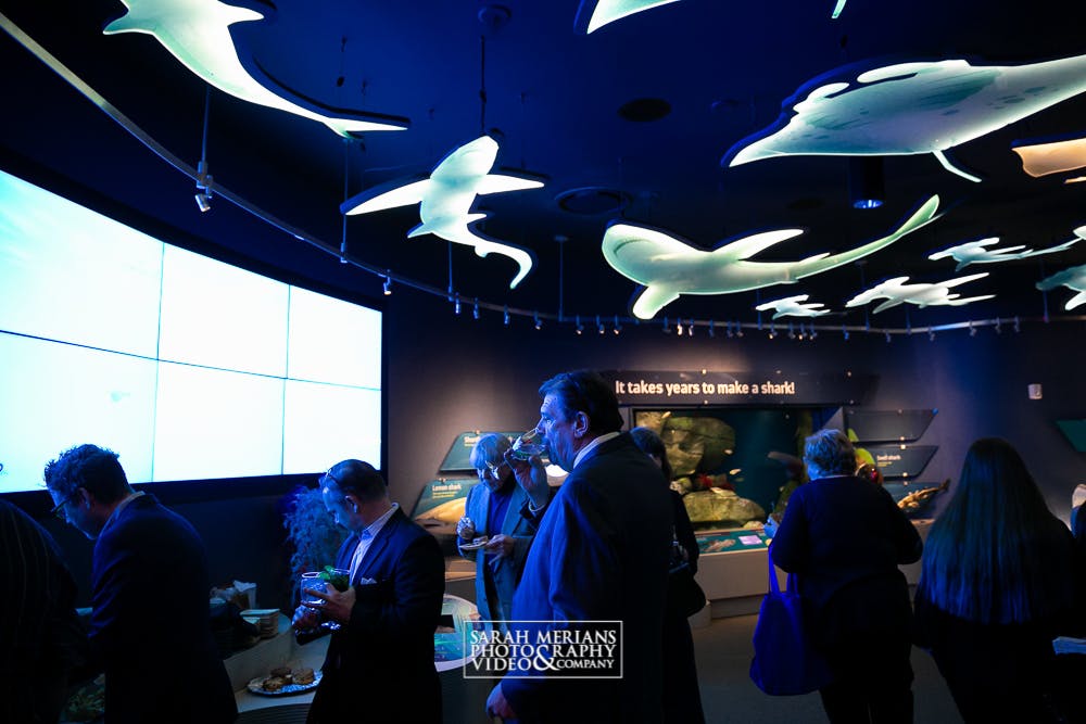New York Aquarium Venue All Events 115 photos on PartySlate