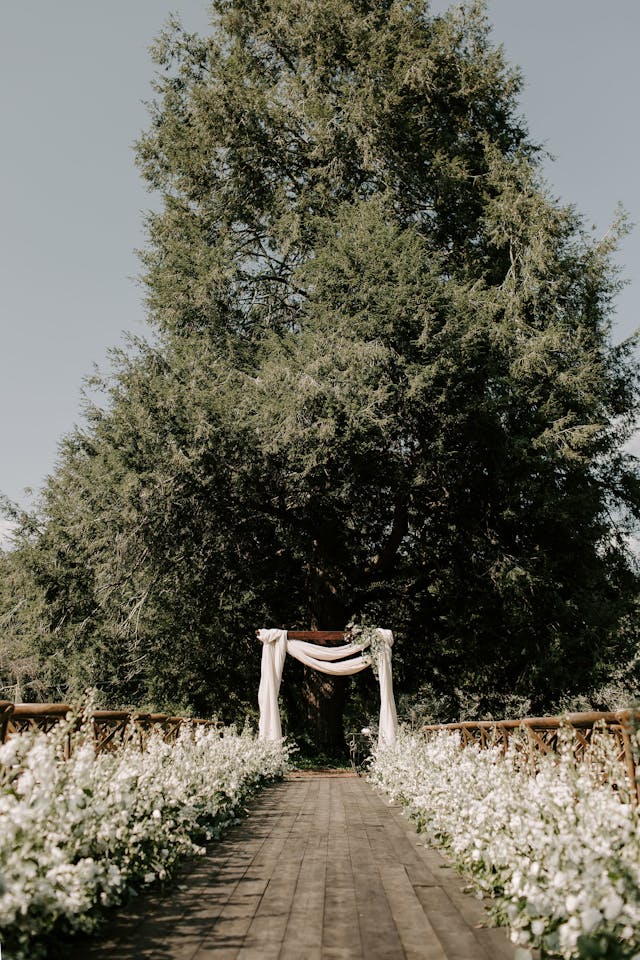 Featured photo from Elegant garden wedding at Barnsley Gardens Resort